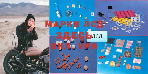 индика Алексин