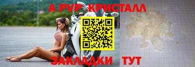 СК Пугачёв