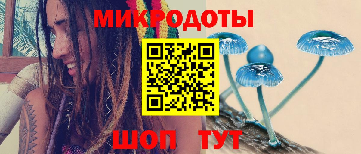 Галлюциногенные грибы Cubensis Усть-Илимск