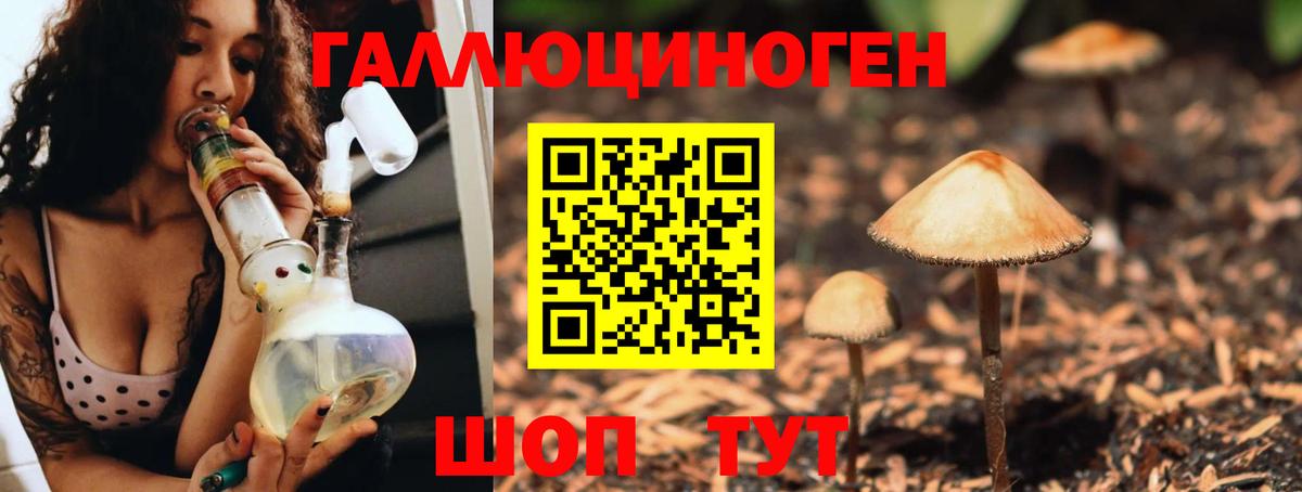 Усть-Илимск  Галлюциногенные грибы Psilocybine cubensis  Вход с VPN  Псилоцибиновые грибы Psilocybe 
